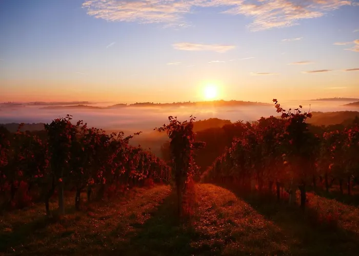 Hisa Pep's לינה וארוחת בוקר 4*