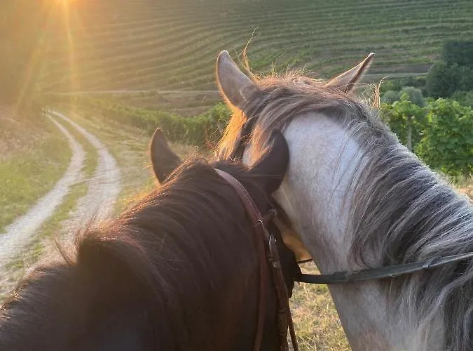 Hisa Pep's Ivanjkovci