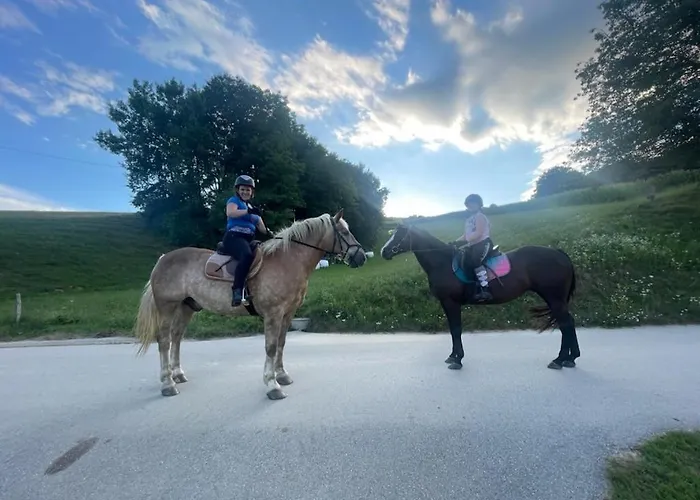 Hisa Pep's לינה וארוחת בוקר Ivanjkovci